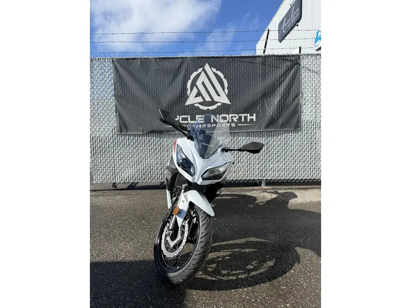 Kawasaki Ninja 300 2026