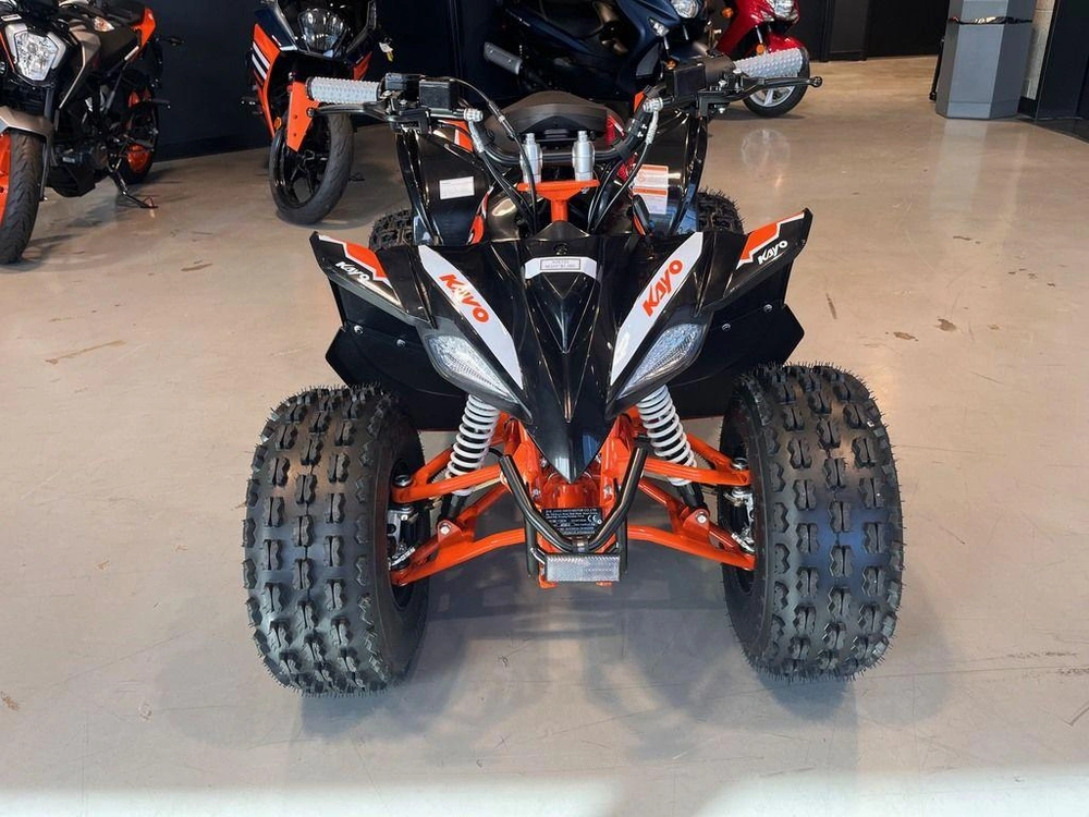 2025 Kayo Predator 125 Efi alt