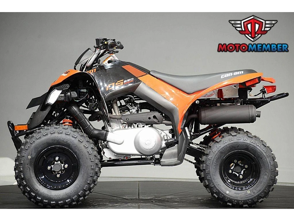 2026 Can-am Ds 250 alt