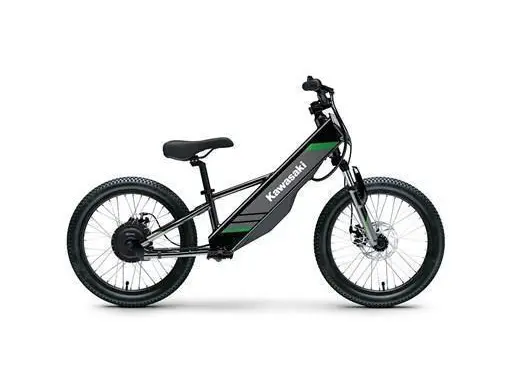 2025 Kawasaki ELEKTRODE 20 thumbnail 2