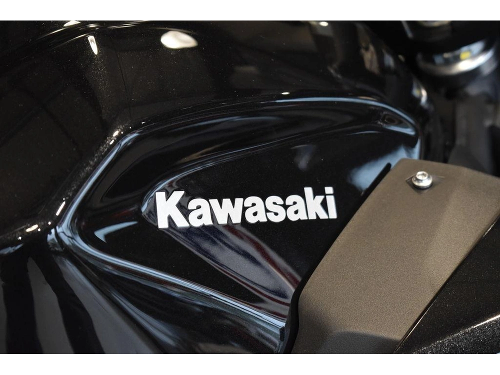 2025 Kawasaki Z500 Abs alt