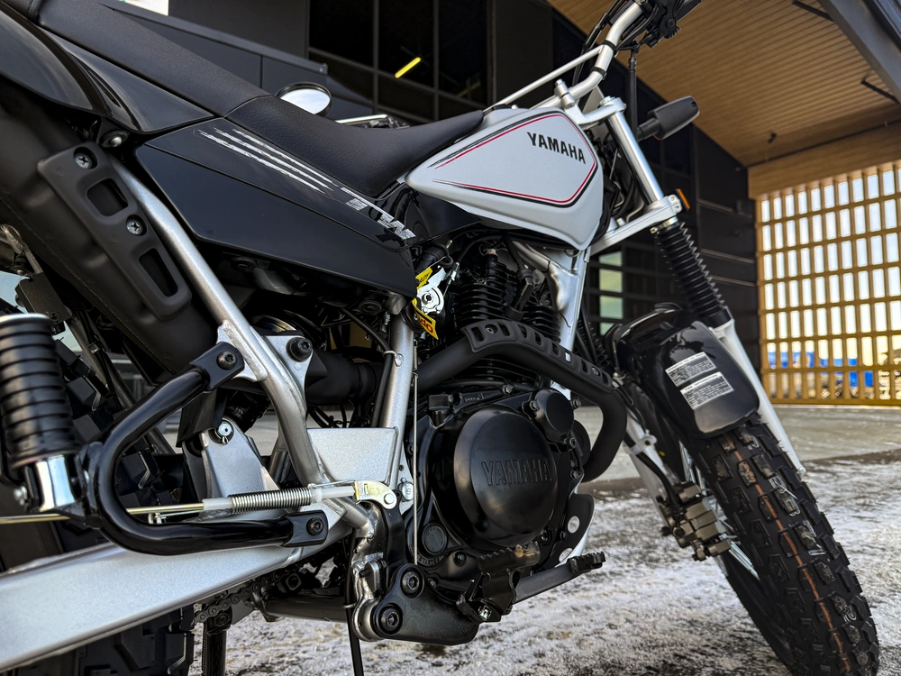 2026 Yamaha Tw200 alt