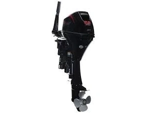 2023 Mercury 9.9elhpt alt