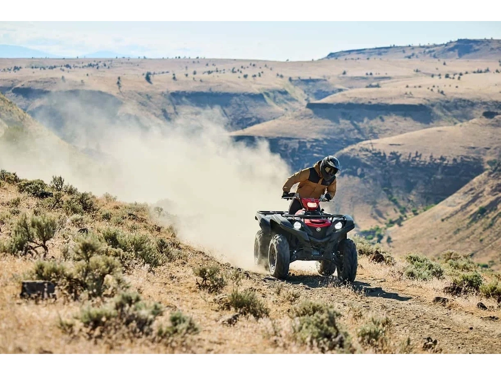 2025 Yamaha Grizzly Eps alt