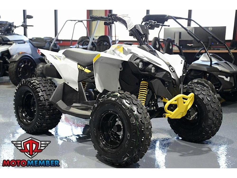 2026 Can-am Renegade 110 Efi alt