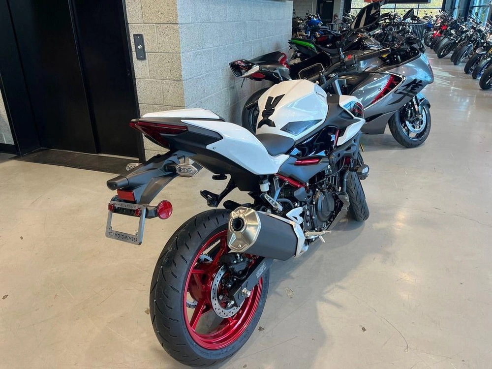 2026 Kawasaki Z500 Se Abs alt