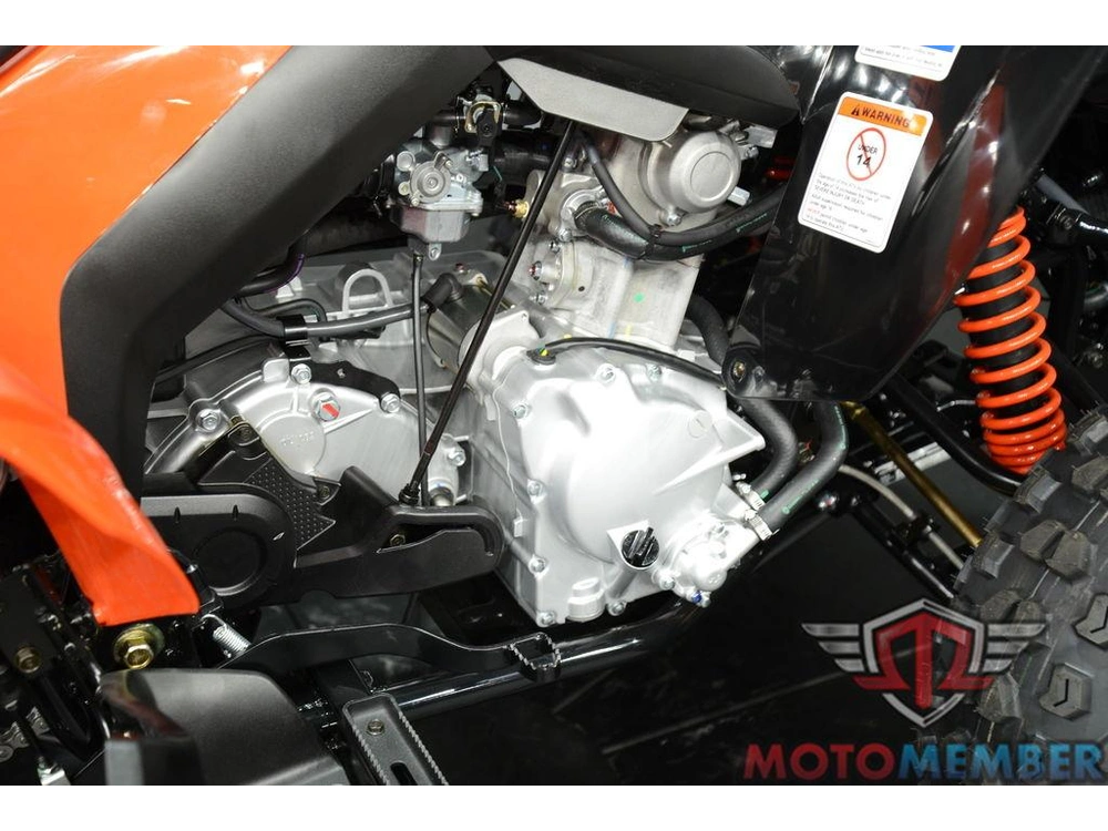 2026 Can-am Ds 250 alt