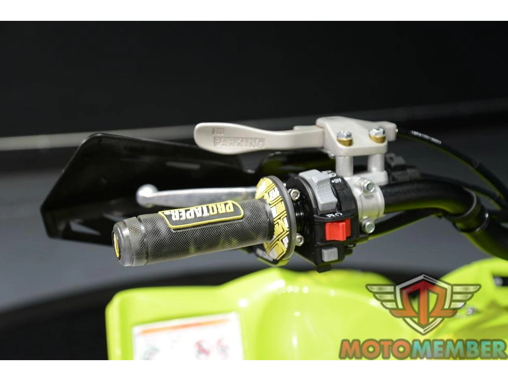 2025 Yamaha Yfz450r Se alt