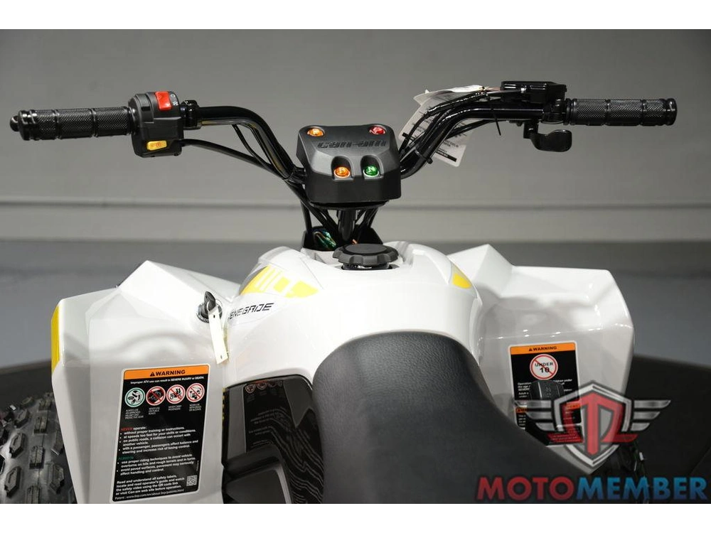 2026 Can-am Renegade 110 Efi alt