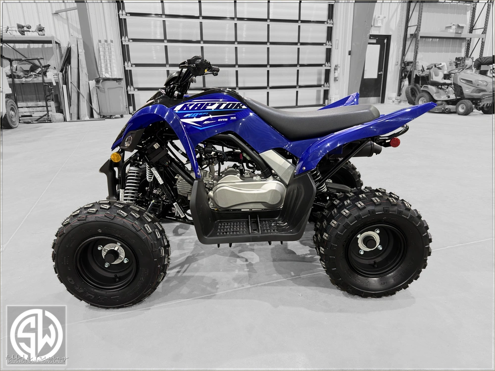 2026 Yamaha Raptor 110 alt