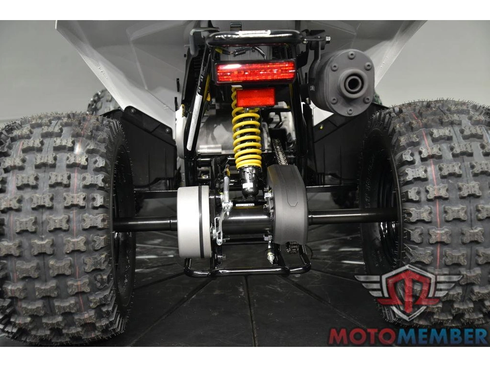 2026 Can-am Renegade 110 Efi alt