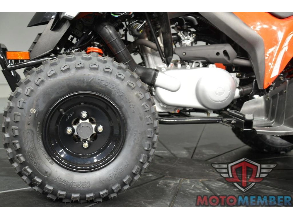 2026 Can-am Ds 250 alt