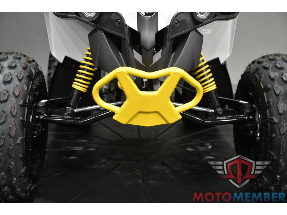 2026 Can-am Renegade 110 Efi alt