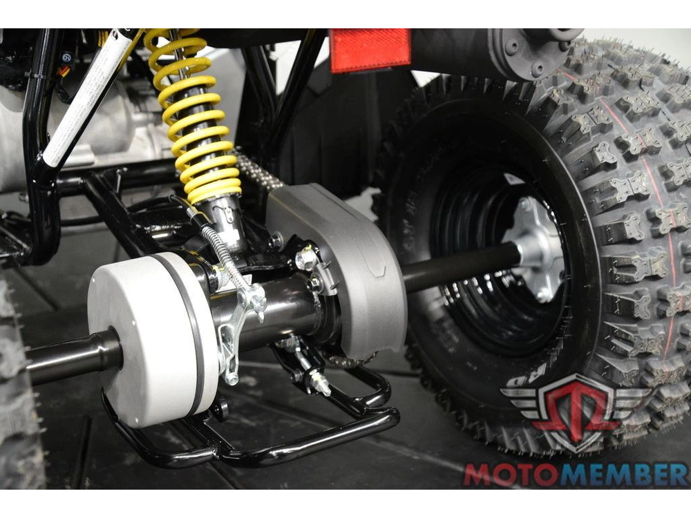 2026 Can-am Renegade 110 Efi alt
