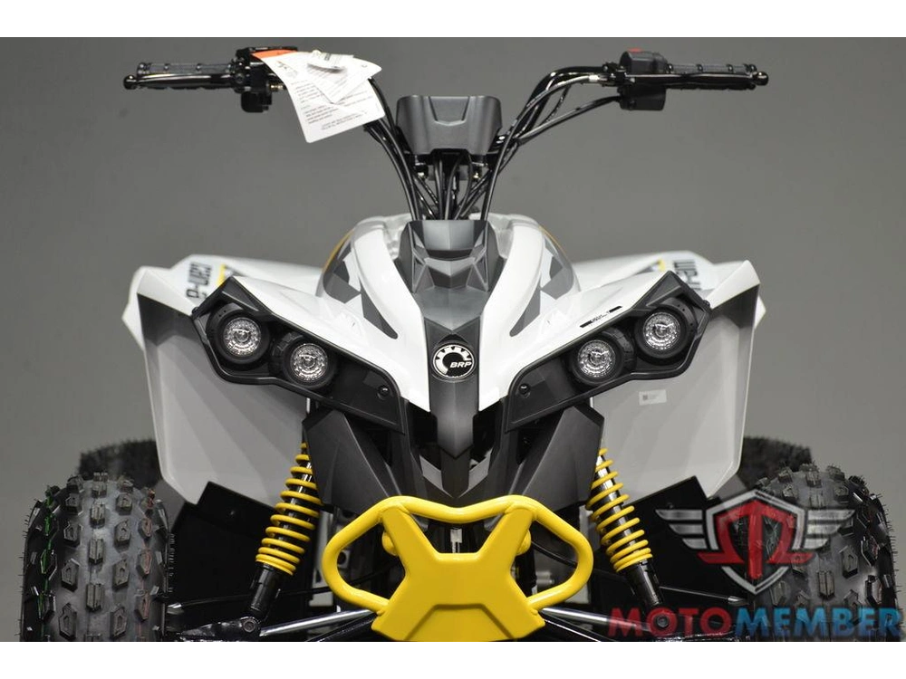 2026 Can-am Renegade 110 Efi alt