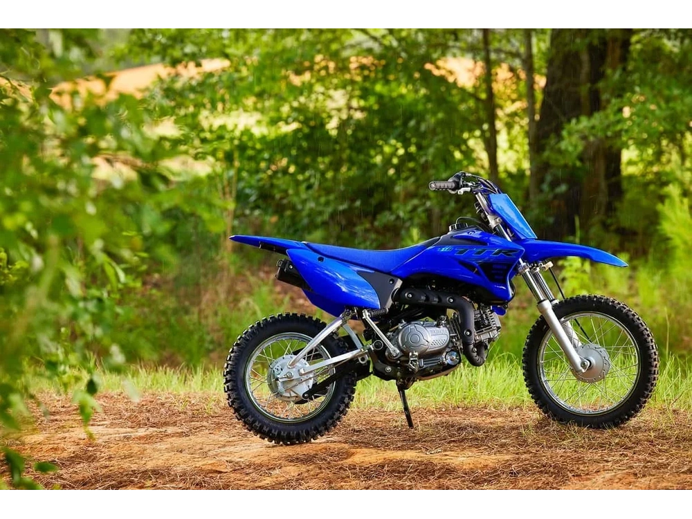 2025 Yamaha 110 alt