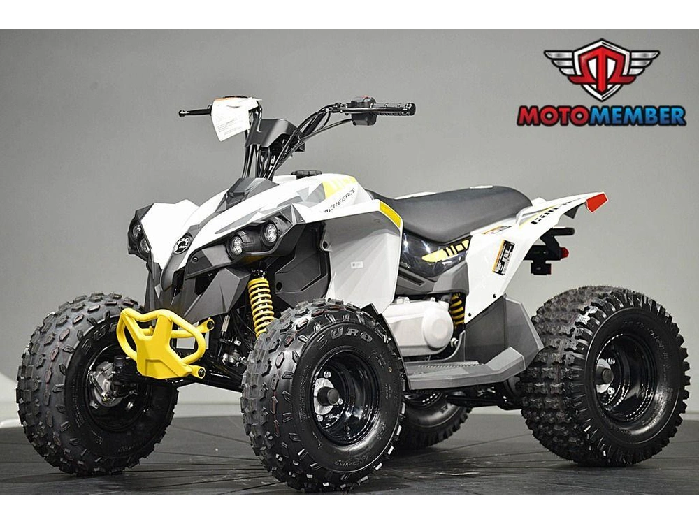 2026 Can-am Renegade 110 Efi alt