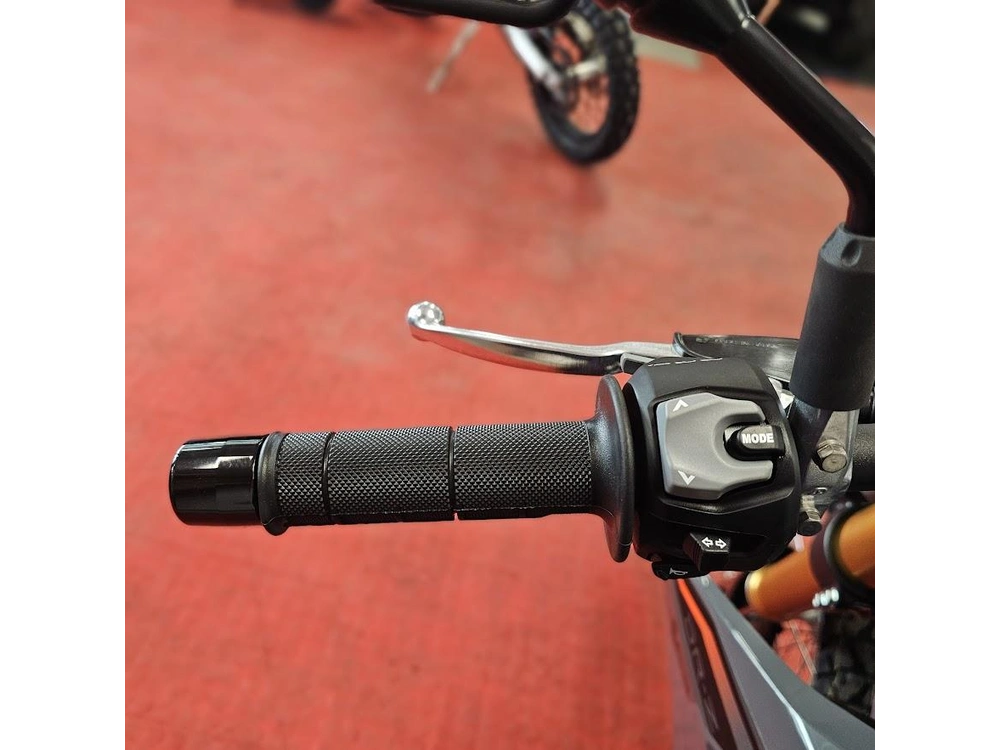 2026 Suzuki Dr-z 4sm alt