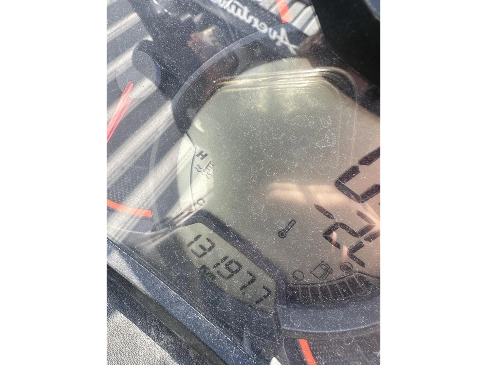 Ski-doo Renegade Enduro 900 Ace 2016 alt