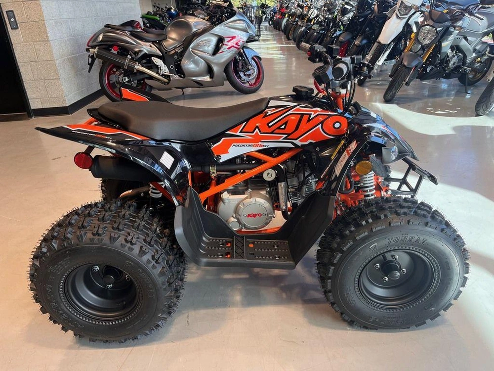 2025 Kayo Predator 125 Efi alt