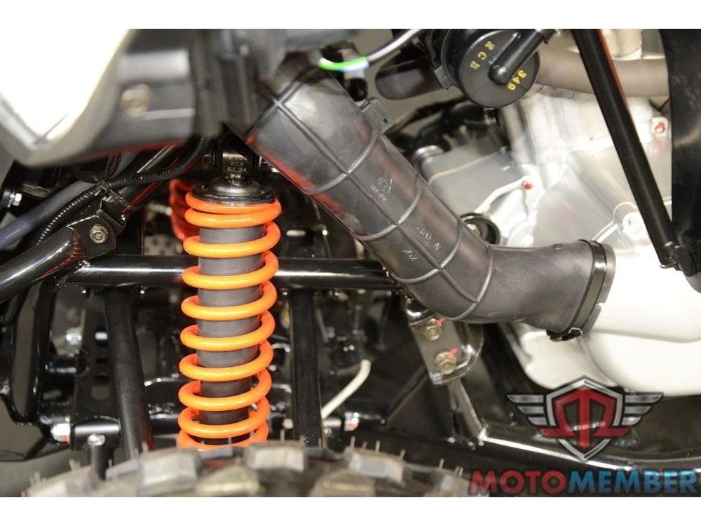 2026 Can-am Ds 250 alt