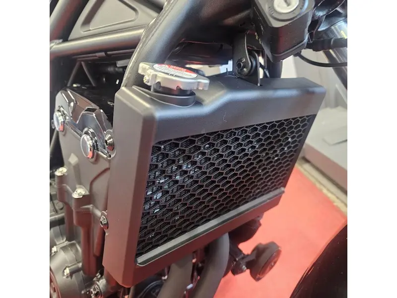 2026 Honda REBEL 500 Base