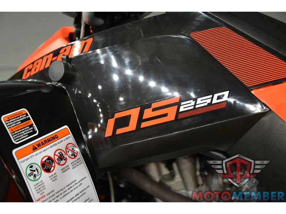 2026 Can-am Ds 250 alt