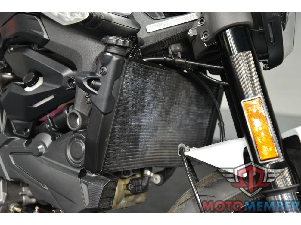 2024 Ducati Monster Plus Iceberg White alt