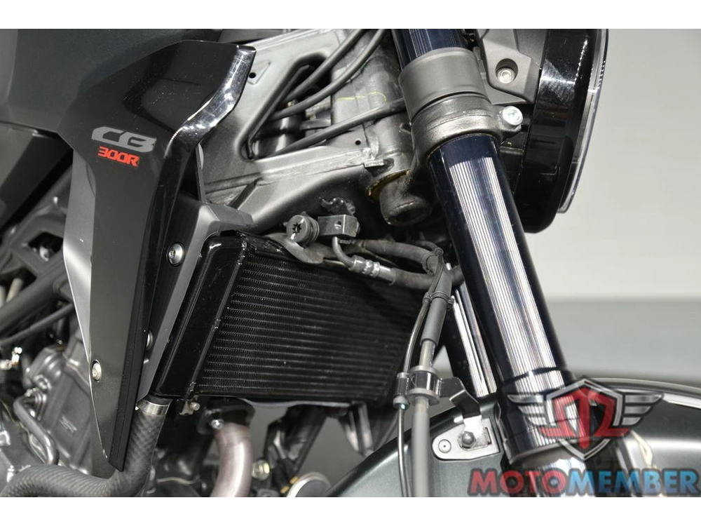 2025 Honda Cb300r alt