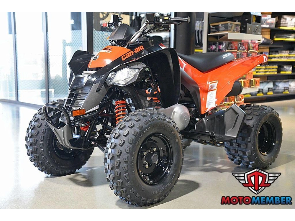 2026 Can-am Ds 250 alt