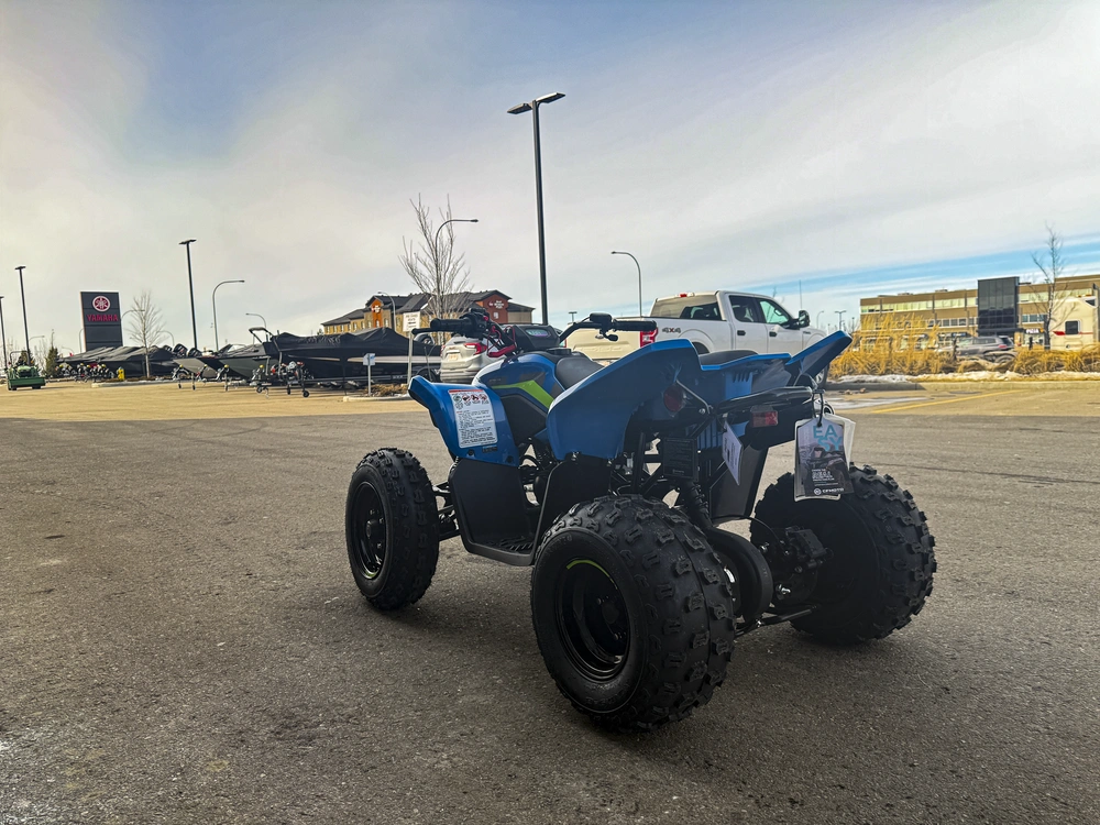 2026 Cfmoto Cforce 110 Classic alt