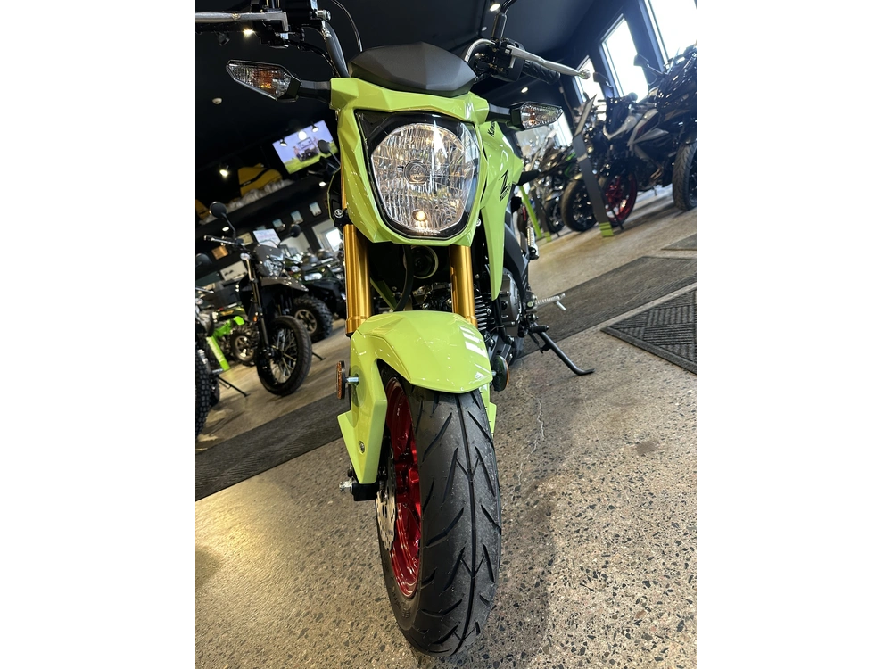 2026 Kawasaki Z125 Pro alt