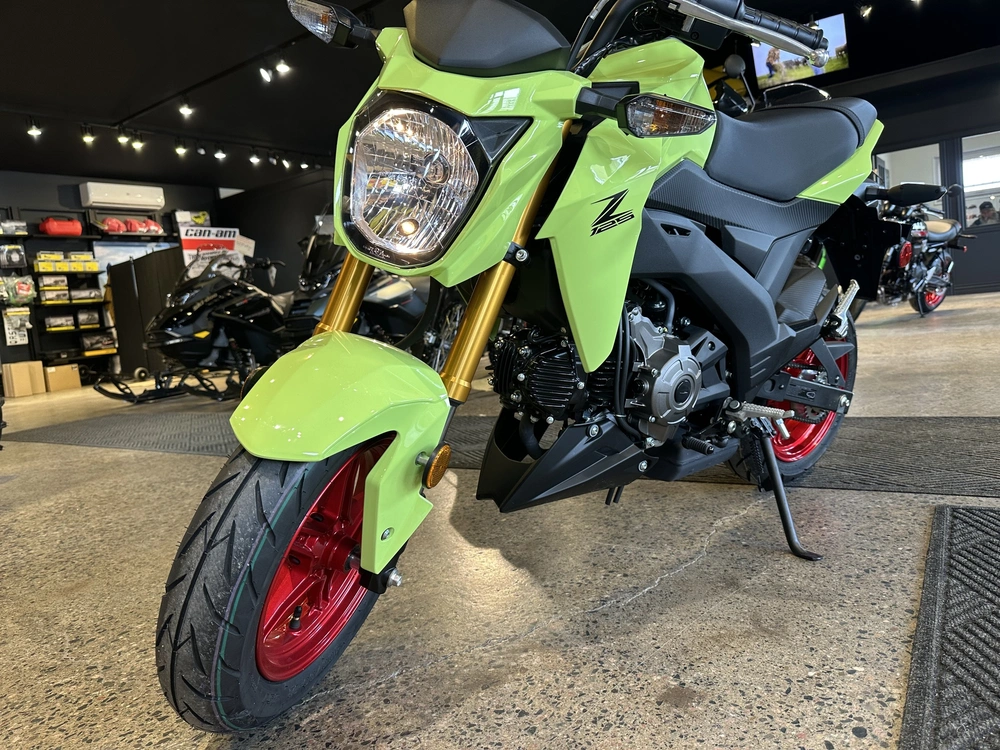 2026 Kawasaki Z125 Pro alt