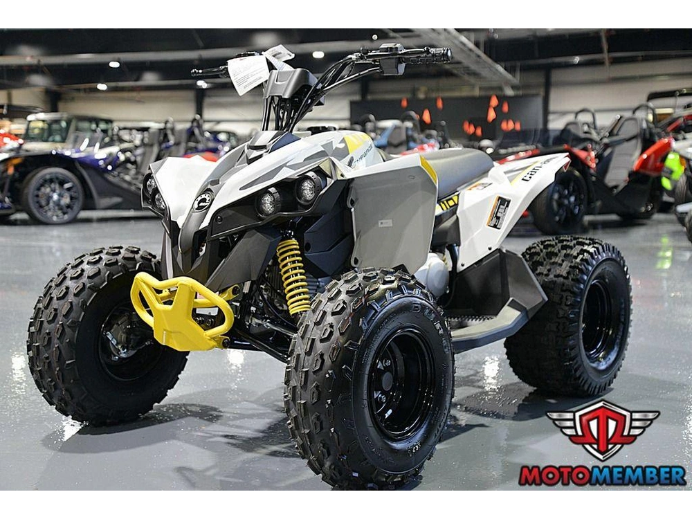 2026 Can-am Renegade 110 Efi alt