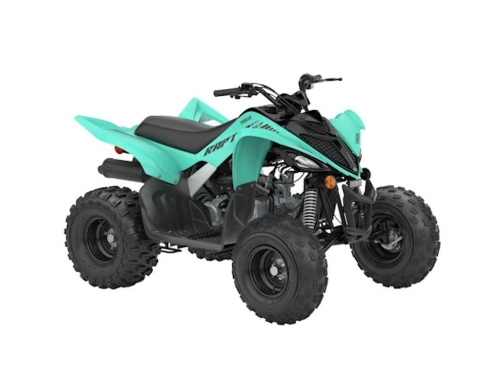 2025 Yamaha Raptor 110 alt