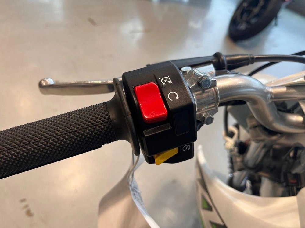 2026 Kawasaki Klx®110r alt