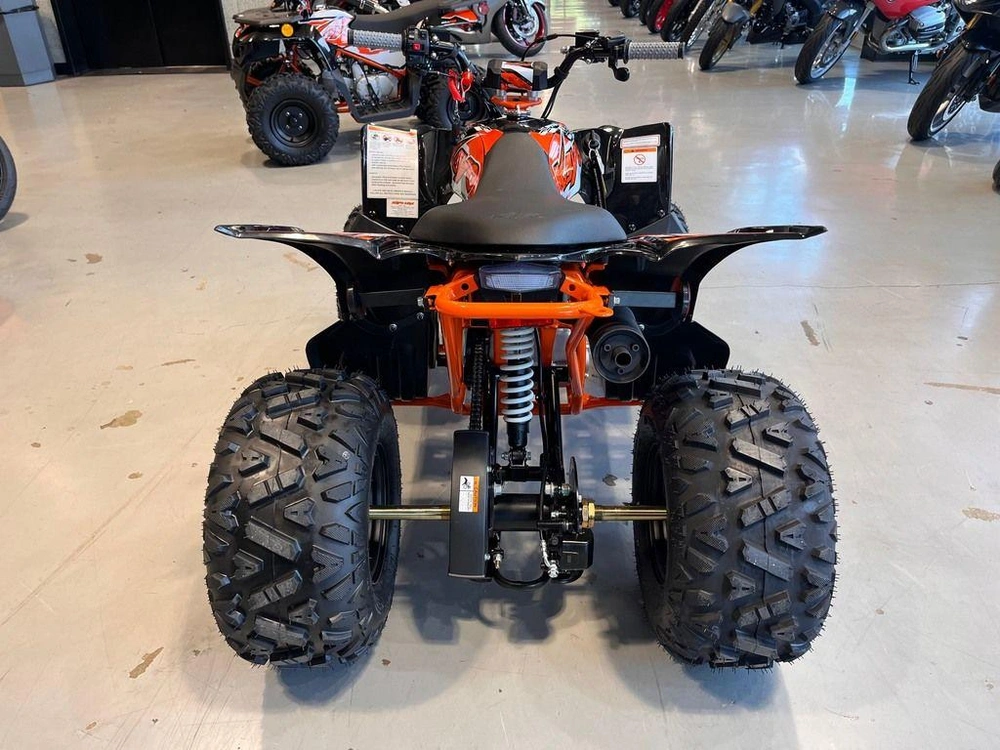 2026 Kayo 110 Predator alt