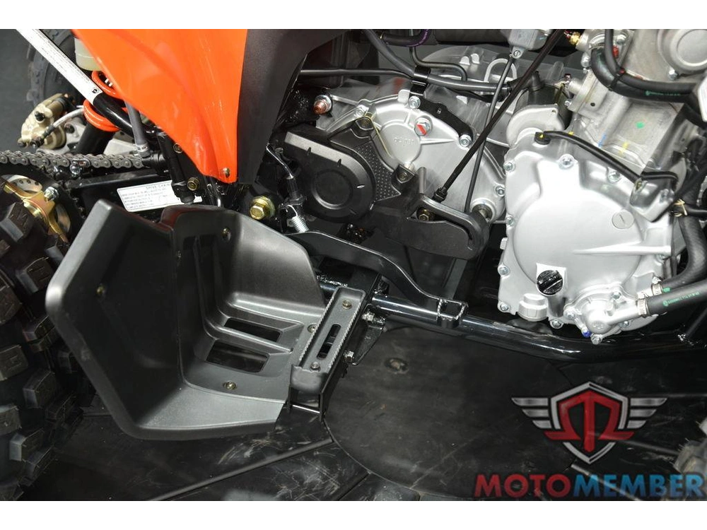 2026 Can-am Ds 250 alt