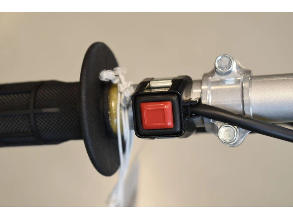 2025 Suzuki Dr-z125l alt