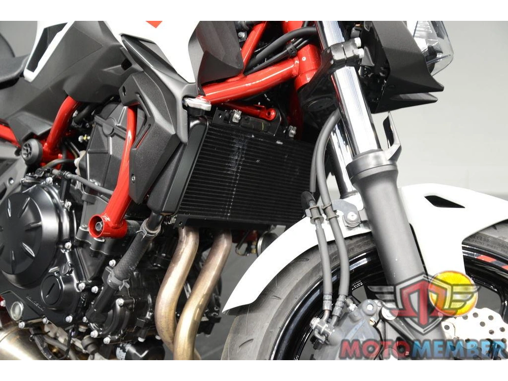 2022 Kawasaki Z650 Abs alt