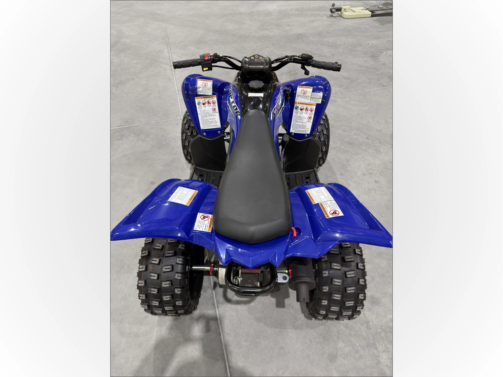 2026 Yamaha Raptor 110 alt