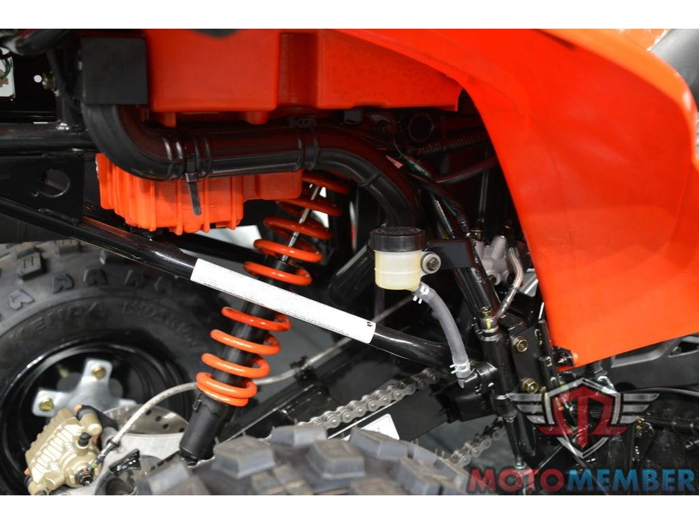 2026 Can-am Ds 250 alt