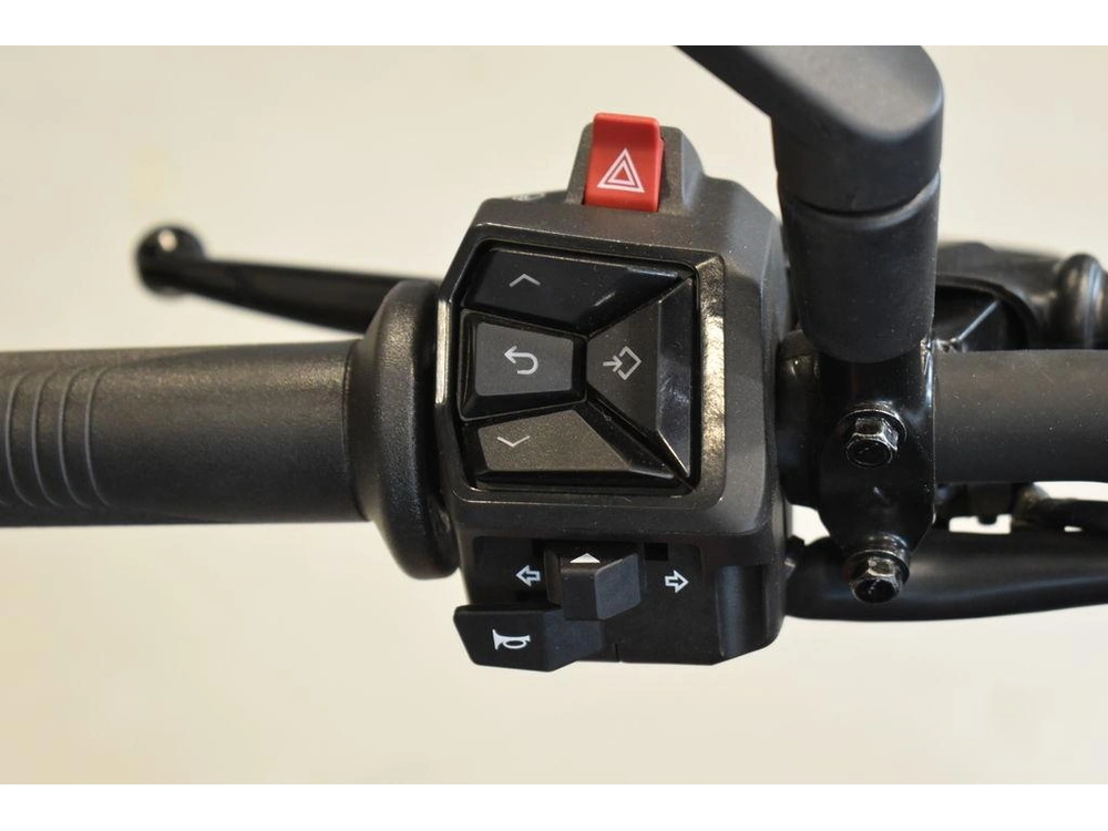 2024 Ktm 250 Duke alt