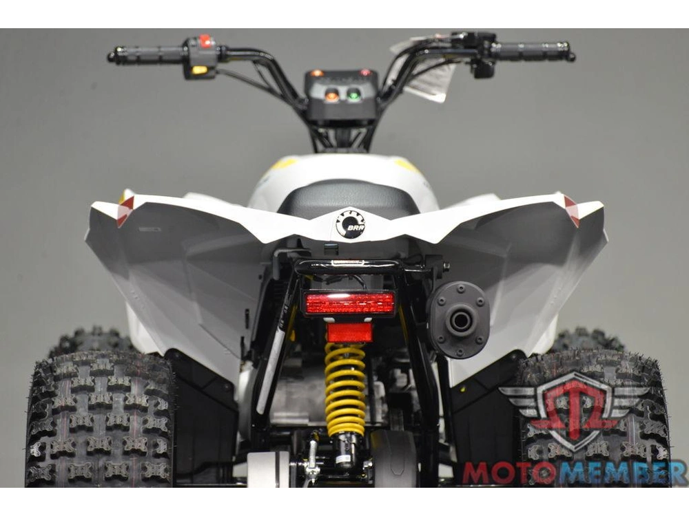 2026 Can-am Renegade 110 Efi alt