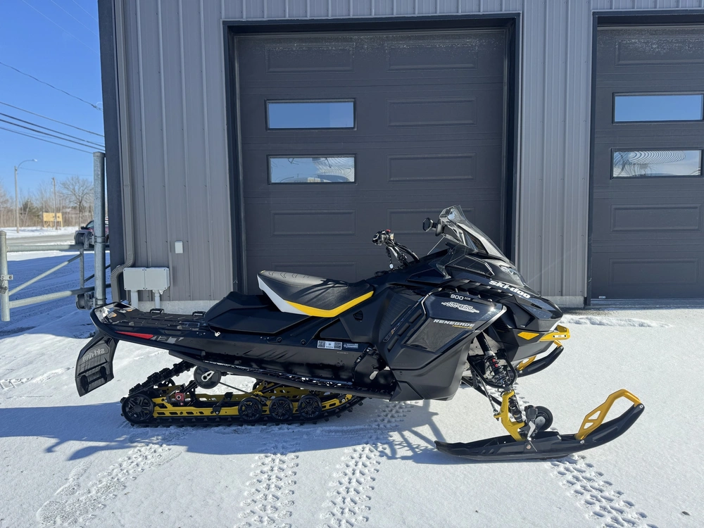 Ski-doo Renegade Enduro 900 Ace 2024 alt