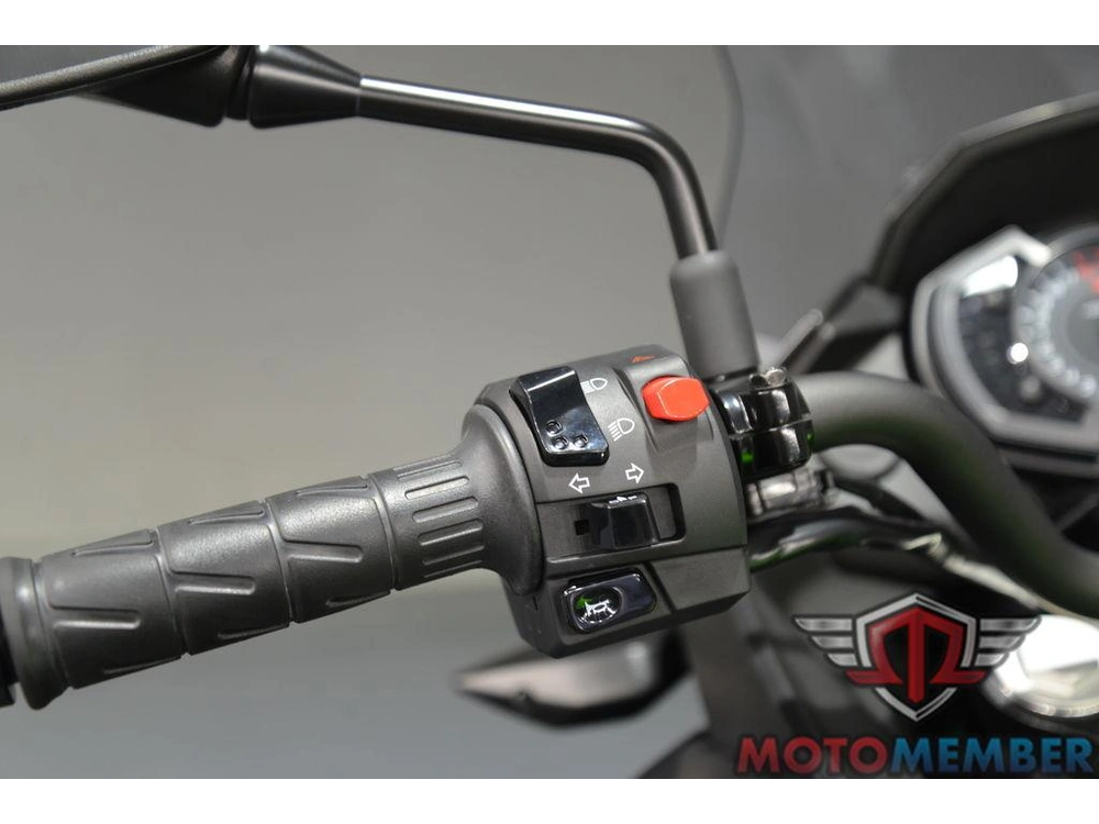 2025 Kawasaki Versys®-x 300 Abs alt