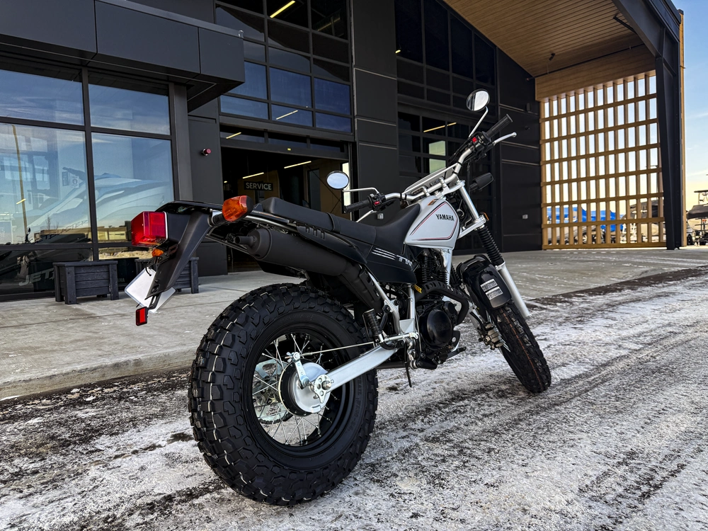 2026 Yamaha Tw200 alt