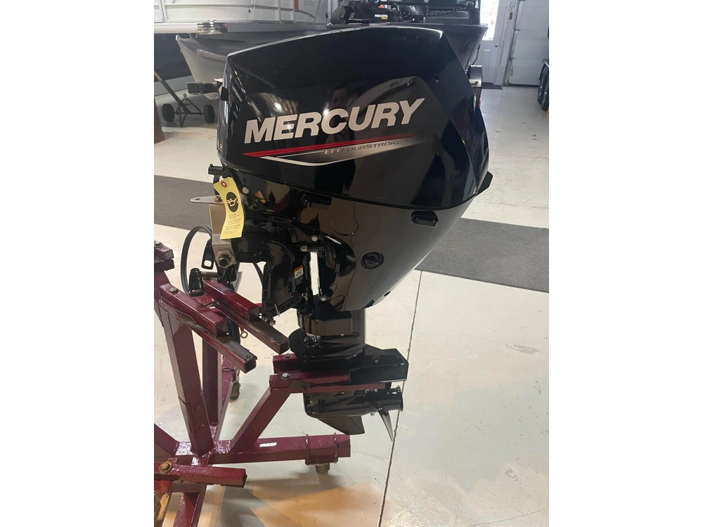 2022 Mercury 15 E 4s alt