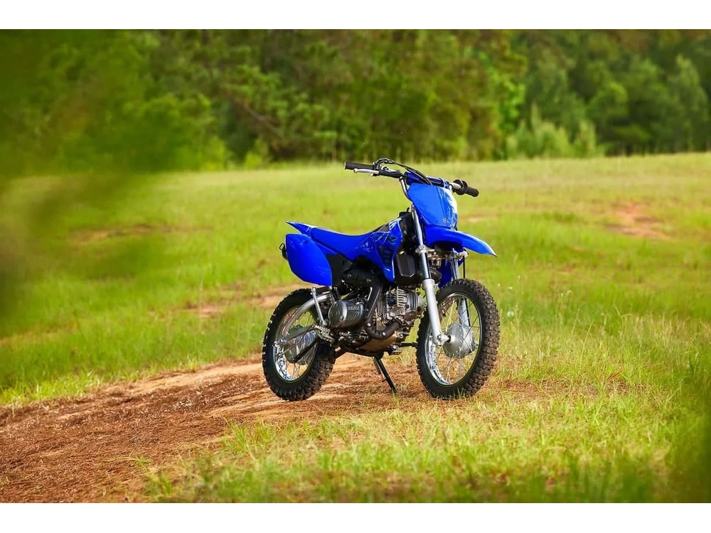 2025 Yamaha 110 alt