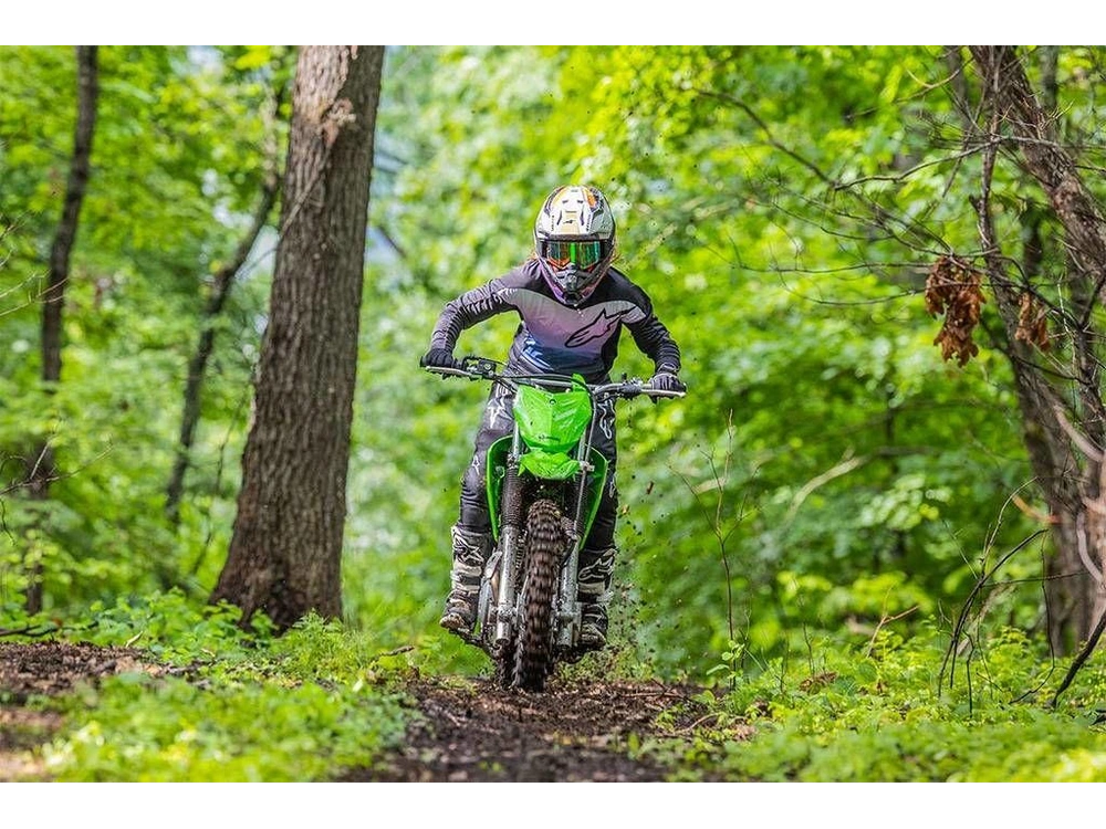 2026 Kawasaki Klx®230r S alt